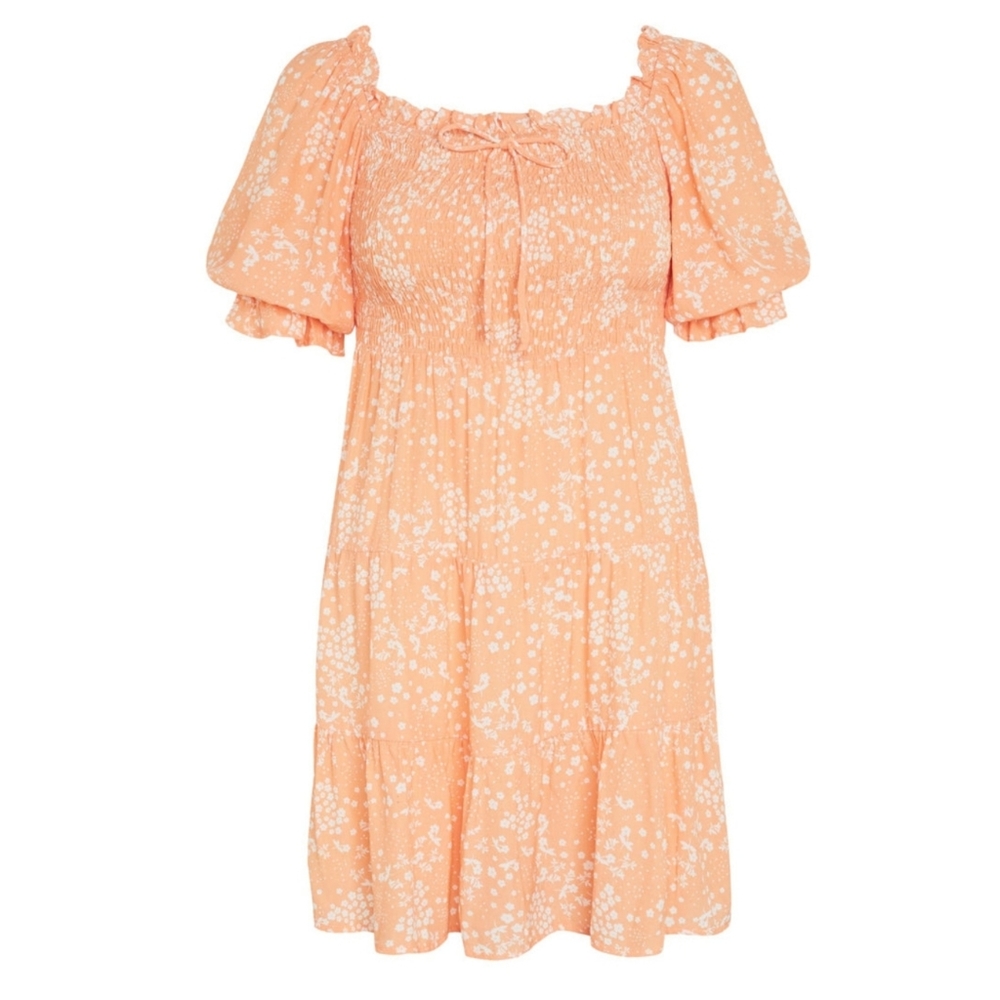 Faithfull the Brand - Charlotte Mini Dress in Stevie Floral Print
